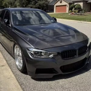 GTS Style Carbon Hood F30